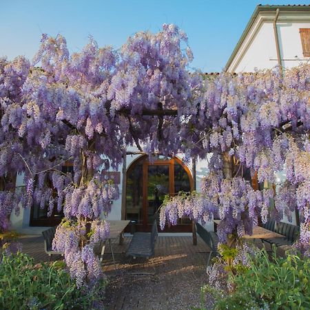 Farm House Roncade Bagian luar foto